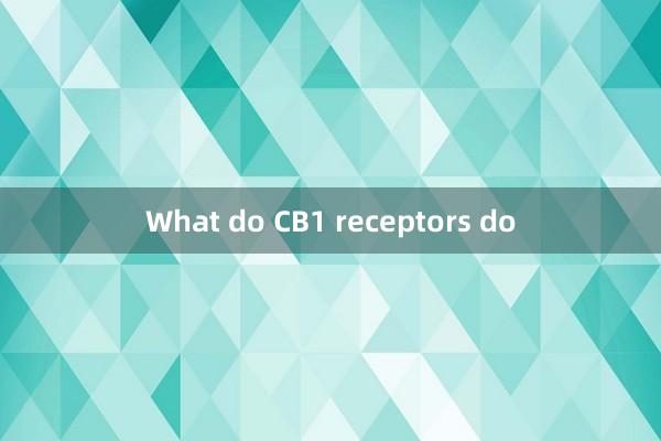 What do CB1 receptors do