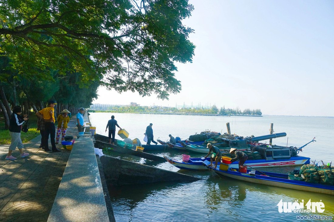 Săn cá， tép vùng biển bồi Kiên Giang đón Tết - Ảnh 4.