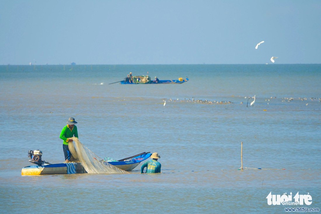 Săn cá， tép vùng biển bồi Kiên Giang để đón Tết - Ảnh 6.