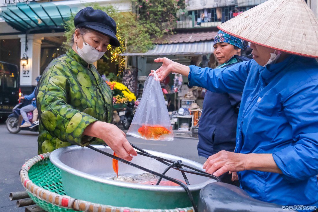 Hà Nội: Cá chép， đồ cúng ông Công， ông Táo được 'săn đón' - Ảnh 5.