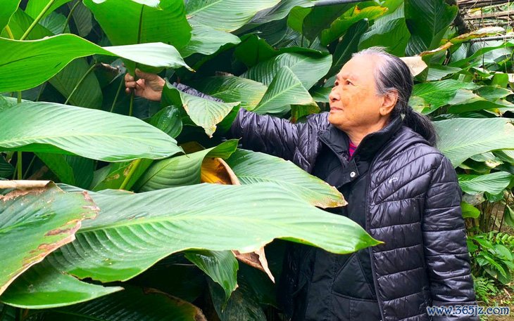 Mua sắm Tết: Vàng, ô tô bán chậm nhưng bánh kẹo thực phẩm liên tục phải châm thêm hàng - Ảnh 4.