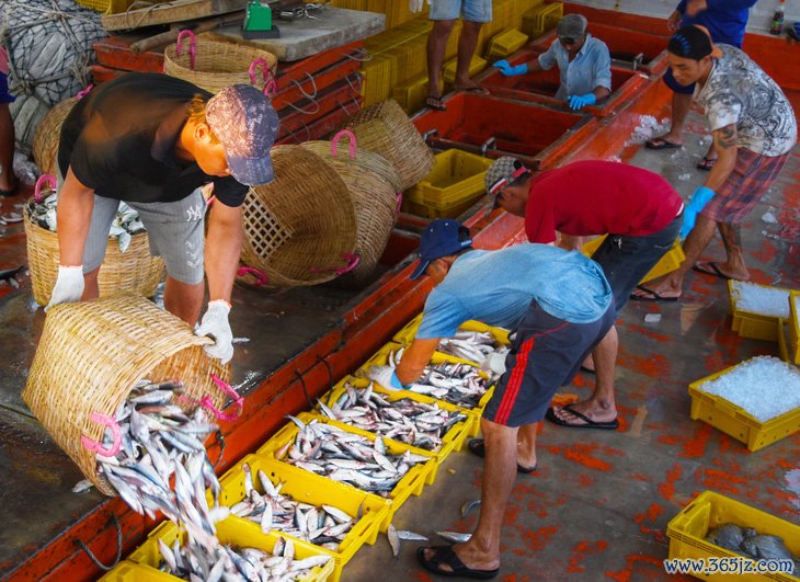 Đánh bắt xa bờ， ghe tàu neo lại gần nhau để cùng có cảm giác ăn Tết trên biển  - Ảnh 6.