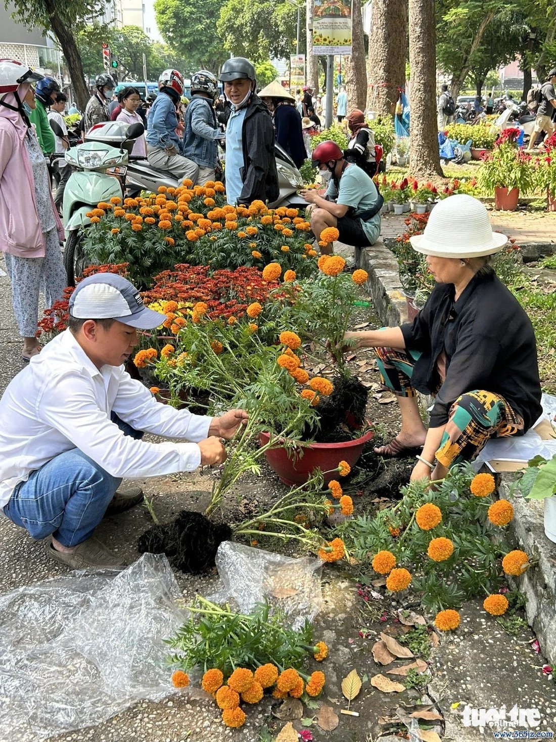 Hoa Tết bắt đầu 'xổ' khắp phố phường - Ảnh 11.