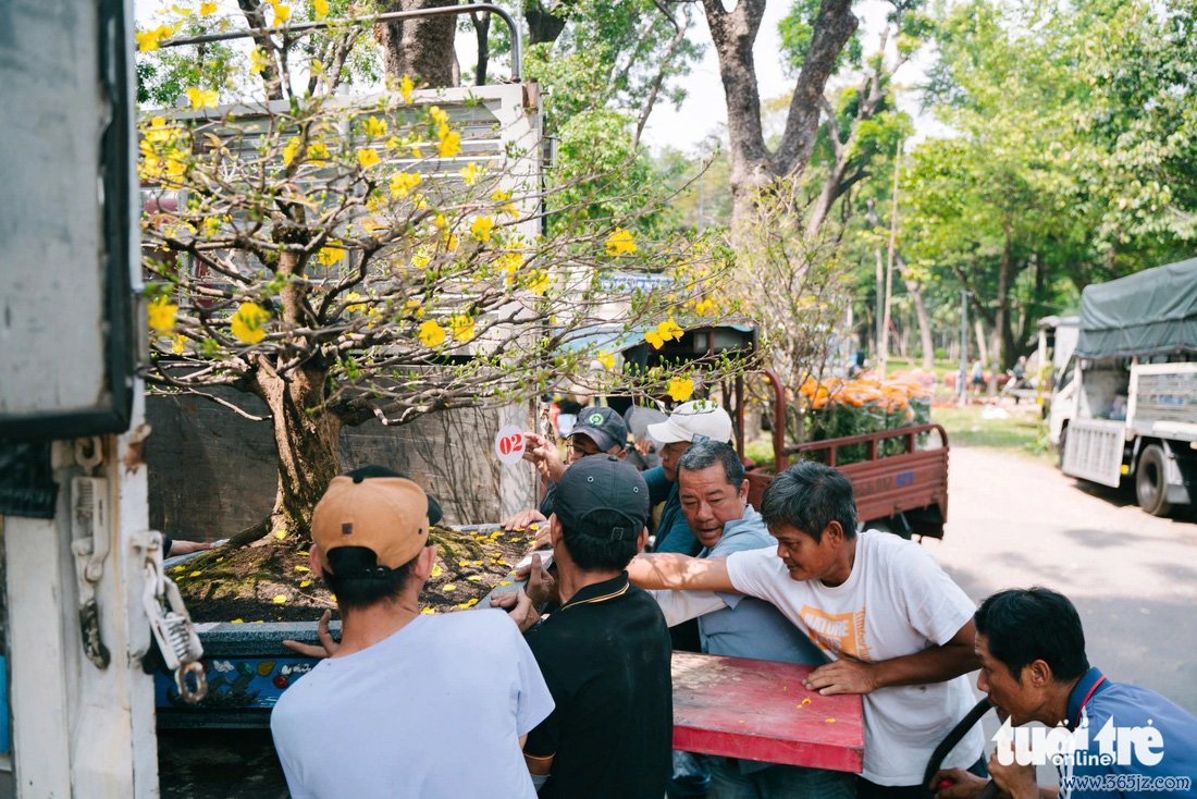 Hoa Tết bắt đầu 'xổ' khắp phố phường - Ảnh 6.