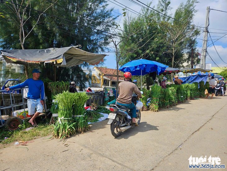 Hoa lay ơn Phú Yên nở chậm, phải nhập hoa Đà Lạt về bán - Ảnh 4.