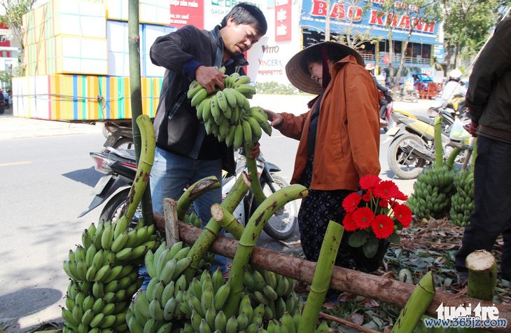 Vì sao nải chuối trên bàn thờ gia tiên thường không thể thiếu với người Huế trong ngày Tết? - Ảnh 1.