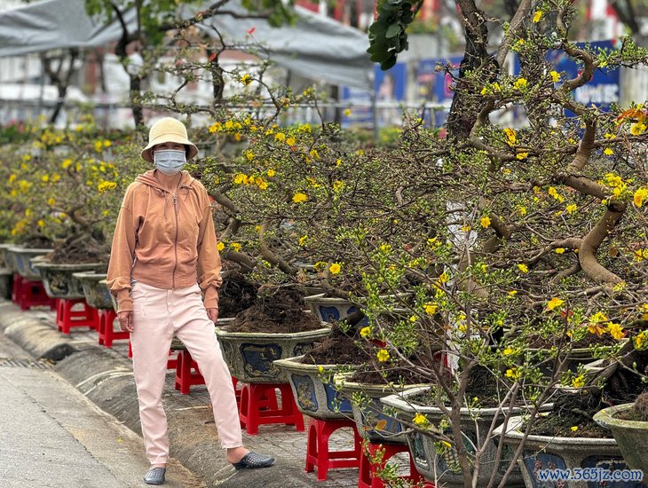 27 tháng Chạp đã 'xả hàng'， chợ hoa Tết Quảng Ngãi vẫn vắng người mua - Ảnh 2.