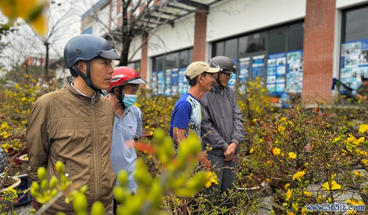 27 tháng Chạp đã 'xả hàng'， chợ hoa Tết Quảng Ngãi vẫn vắng người mua - Ảnh 5.