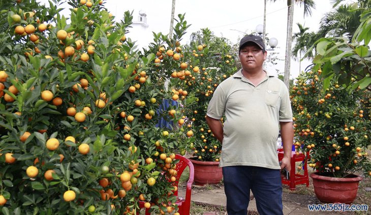 27 tháng Chạp đã 'xả hàng'， chợ hoa Tết Quảng Ngãi vẫn vắng người mua - Ảnh 3.