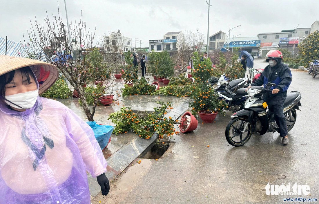 Mưa gió quật tơi tả chợ hoa， tiểu thương lo 'mất Tết' - Ảnh 4.