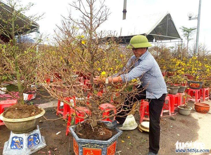 Kiếm tiền triệu mỗi ngày từ nghề ‘chở Tết’ đến mọi nhà - Ảnh 4.