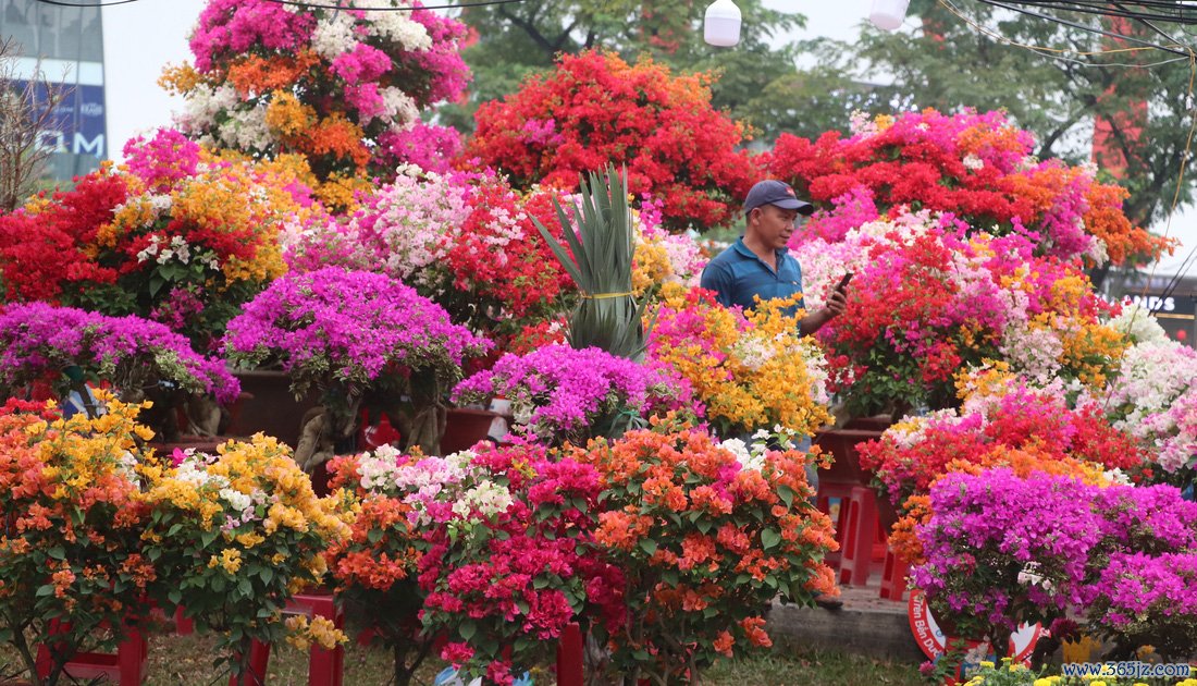 Người người đổ về chợ hoa xuân Bình Đông: Hoa trái ngập tràn, chỉ lo thiếu người mua - Ảnh 2.