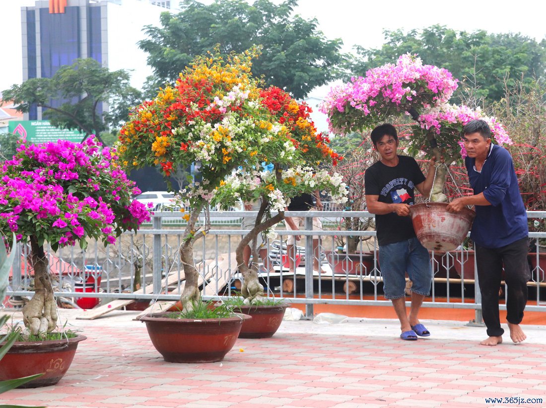 Người người đổ về chợ hoa xuân Bình Đông: Hoa trái ngập tràn, chỉ lo thiếu người mua - Ảnh 6.