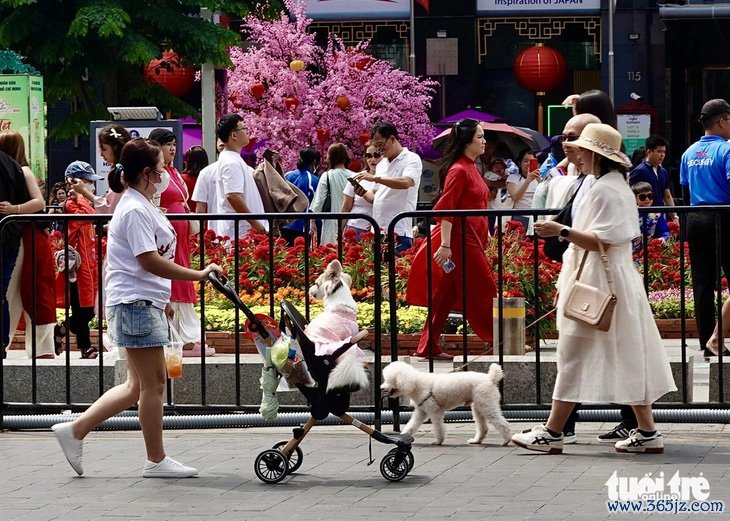 Khách du xuân， quán xá mở cửa xuyên Tết đắt khách  - Ảnh 3.