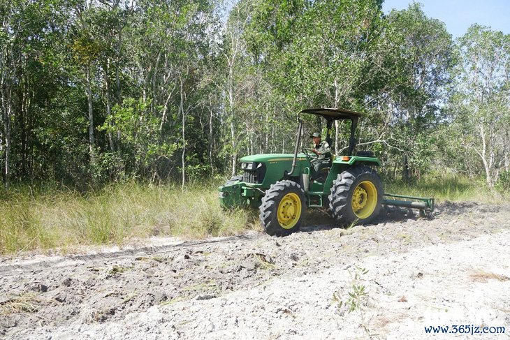 Phòng canh lửa， giữ rừng Phú Quốc ngày Tết - Ảnh 4.