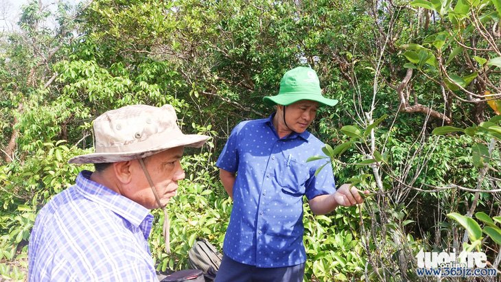 Phòng canh lửa， giữ rừng Phú Quốc ngày Tết - Ảnh 5.