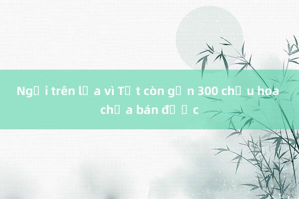 Ngồi trên lửa vì Tết còn gần 300 chậu hoa chưa bán được